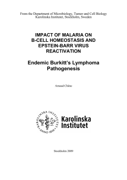 Impact of malaria on B-cell homeostasis and Epstein