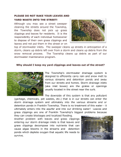 PLEASE DO NOT RAKE YOUR LEAVES AND YARD WASTE INTO