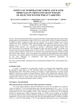 effect of temperature stress and water shortage on thousand grain