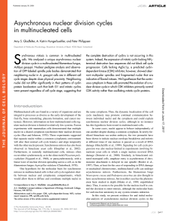 in multinucleated cells - The Journal of Cell Biology