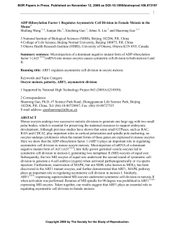 ADP-Ribosylation Factor 1 Regulates Asymmetric Cell Division in