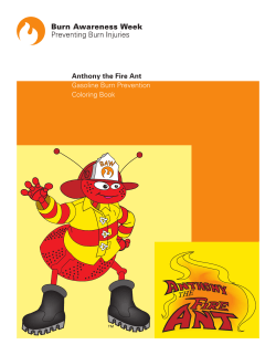 Anthony the Fire Ant Gasoline Burn Prevention Coloring Book