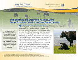 Sharing Open Space: What to Expect from Grazing