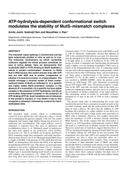 ATP-hydrolysis-dependent conformational switch modulates the