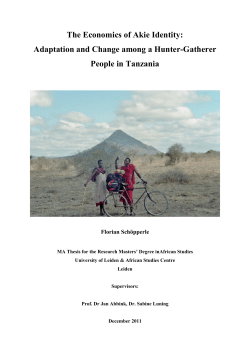 The Economics of Akie Identity: Adaptation and Change among a