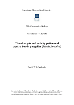 Time-budgets and activity patterns of captive Sunda pangolins