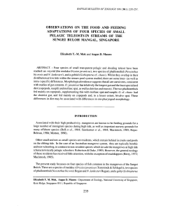 observations on the food and feeding adaptations of four species of