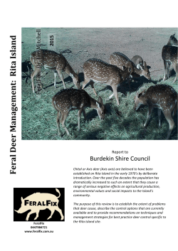 Feral Deer Management: Rita Island
