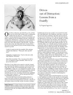 Driven out of Distraction: Lessons from a Fruitfly