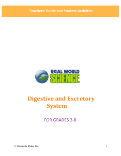 Digestive and Excretory System