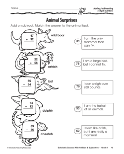 Animal Surprises