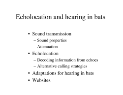 Echolocation and hearing in bats