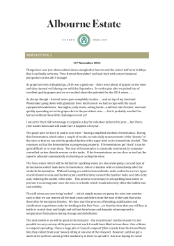 NEWSLETTER 2 - Albourne Estate