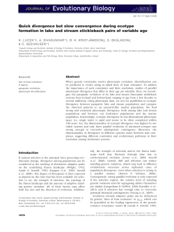 Quick divergence but slow convergence during ecotype formation in
