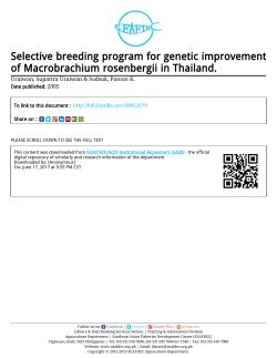 Selective breeding program for genetic improvement of
