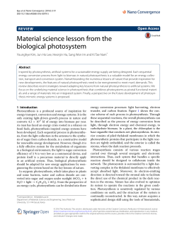 Material science lesson from the biological