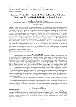 Carcass Traits of New Zealand White, Californian, Palomino Brown