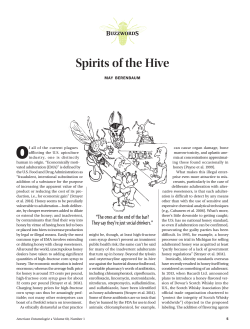 Spirits of the Hive