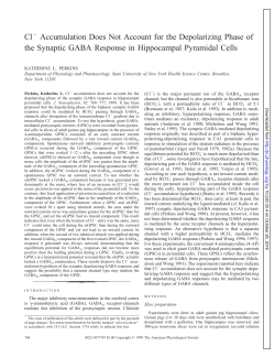 Cl Accumulation Does Not Account for the Depolarizing Phase of the