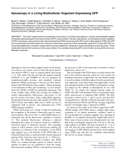 Nanoscopy in a Living Multicellular Organism Expressing GFP