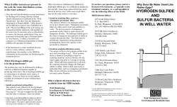 Sulfide and Sulfur Bacteria Factsheet