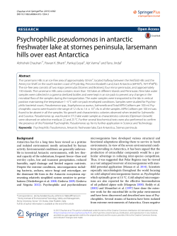 Psychrophilicpseudomonasin antarctic freshwater lake at stornes