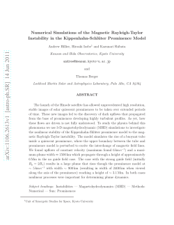 Numerical Simulations of the Magnetic Rayleigh