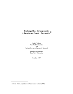 Exchange Rate Policies for Developing Countries