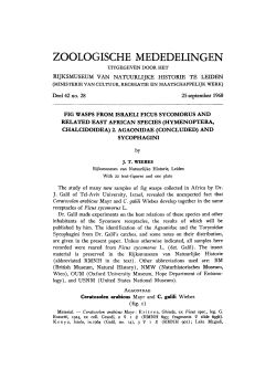 2. Agaonidae (concluded - UvA-DARE