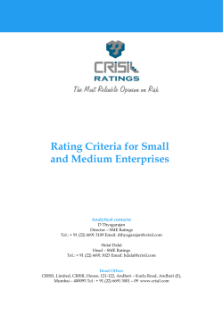 Rating Criteria for Small and Medium Enterprises
