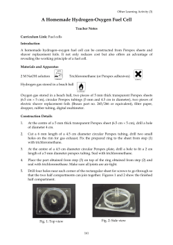 A Homemade Hydrogen-Oxygen Fuel Cell