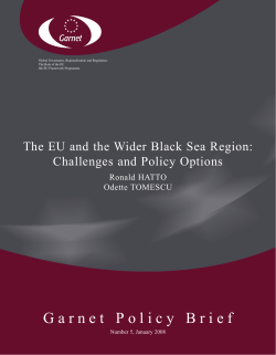 Garnet Policy Brief - University of Warwick