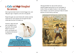 Things got better for cats as time went on. People