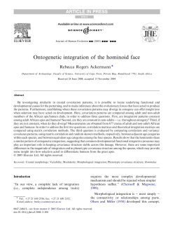 Ontogenetic integration of the hominoid face