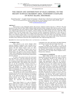 the origin and distribution of silica mineral on the