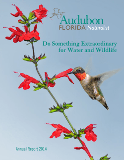 Audubon Florida Naturalist Magazine Winter 2014