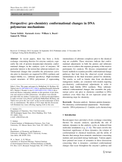 Perspective: pre-chemistry conformational changes in DNA