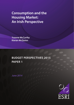 Consumption and the Housing Market: An Irish Perspective Abstract