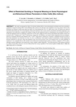 Effect of Restricted Suckling or Temporal Weaning on Some
