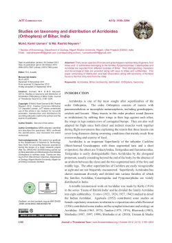 Studies on taxonomy and distribution of Acridoidea (Orthoptera) of