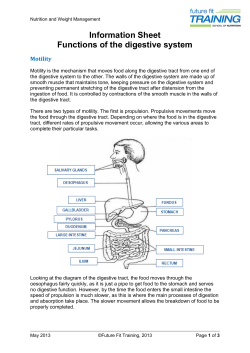Information Sheet Functions of the digestive system
