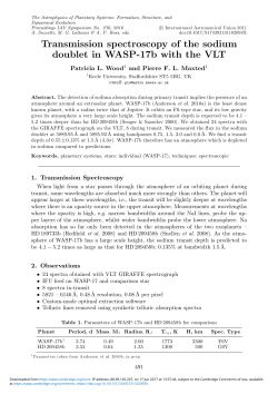 Transmission spectroscopy of the sodium doublet in WASP