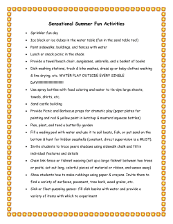 Sensational Summer Fun Activities