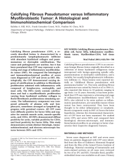 Calcifying Fibrous Pseudotumor versus Inflammatory