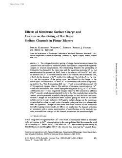 Effects of Membrane Surface Charge and Calcium on the Gating of
