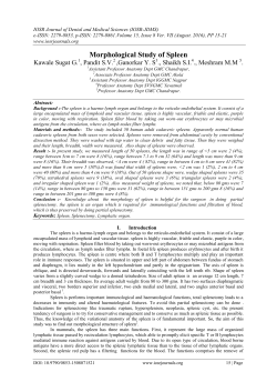 Morphological Study of Spleen