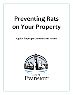 Preventing Rats on Your Property