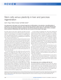 Stem cells versus plasticity in liver and pancreas regeneration