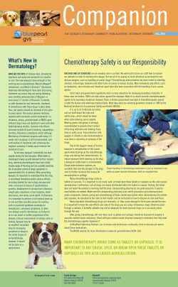 Companion - bluepearlvet.com