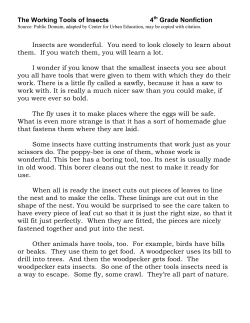 Grade 4 Author`s Point of View and Purpose